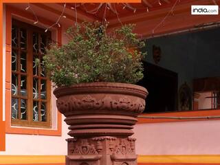 Tulsi Ke Niyam: तुलसी के पास भूलकर भी न लगाएं ये पौधे, नहीं तो चली जाएगी सुख-समृद्धि