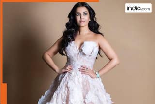 Aishwarya Rai said no to THIS iconic film because..., it earned over Rs 4000 crores at Box Office, was replaced by famous actress...