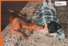 india.com top news