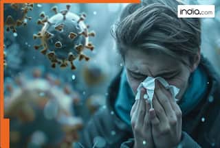 New mystery illness kills people within 48 hours, WHO on alert - All you need to know