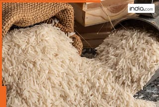 India to lose 'battle for Basmati' against Pakistan? Australia-New Zealand give shock to...