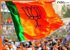 दिल्ली चुनाव में निर्णायक बढ़त मिलते ही भाजपा मुख्यालय में जश्न, ढोल पर नाचे, लहराए पार्टी के झंडे| VIDEO