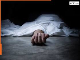 india.com top news