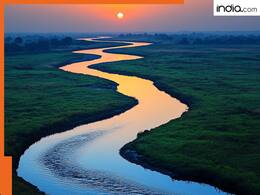 india.com top news