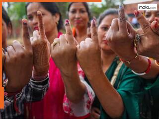 Delhi Election: दिल्ली में 5 फरवरी को मतदान के दिन क्या खुला और क्या रहेगा बंद? यहां देखें पूरी लिस्ट