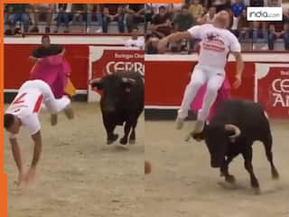 Saand Ka Video: खूंखार सांड के ऊपर से छलांग मारकर बच निकला शख्स, वायरल हुआ खतरनाक स्टंट | देखें वीडियो