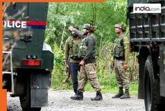 Pakistan violates ceasefire at LoC in..., Indian Army wreaked havoc on Pakistani forces, heavy losses...