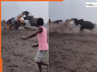 Hathi Ka Video: जेसीबी देखते ही भड़क गया गुस्सैल हाथी, एक ही टक्कर में हवा में उछाल दिया | देखें वीडियो