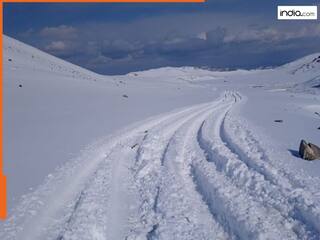 इस देश में पड़ रही भयंकर सर्दी, 80 फीसदी इलाका बर्फ से ढका, लाखों जानवरों की मौत
