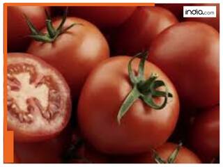 ओडिशा के टमाटर किसानों पर संकट: लागत से भी कम दाम, फसल छोड़ने को मजबूर