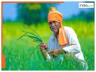 PM Kisan: किसानों के लिए बड़ी खुशखबरी! पीएम मोदी देंगे 22,000 करोड़ की सहायता, 24 फरवरी को जारी होगी 19वीं किस्त