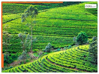 मुंबई से शुरू होगी IRCTC श्री रामायण यात्रा टूर पैकेज, किराया और डिटेल जानिये