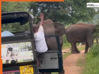 Hathi Ka Video: टूरिस्टों पर अचानक भड़क उठा हाथी, पलटकर कर दिया हमला | हिला देगा ये वीडियो