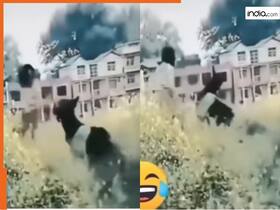 india.com top news