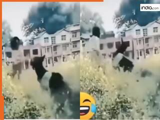 Ladki Ka Video: लड़की का झापड़ खाकर भावुक हो गया गधा, बेचारे के आंसू तक टपकने लगे | देखें वीडियो