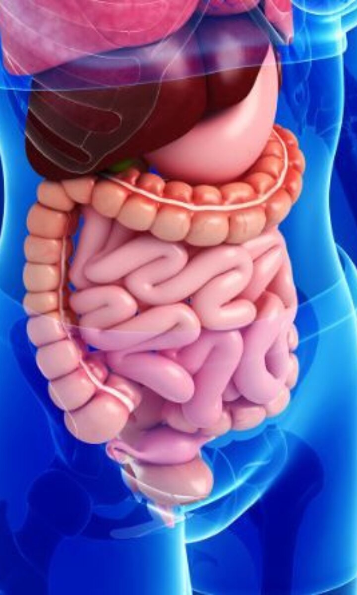 आंतों को 'डीप-क्लीन' करती हैं ये 5 सब्जियां, भर-भरकर करें डाइट में शामिल