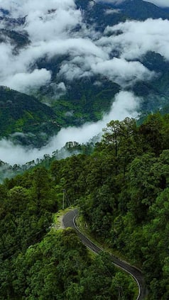 india.com webstories