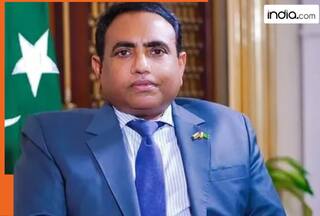 Slap on the face for Pakistan as US stops its ambassador from...., deports him from airport due to....