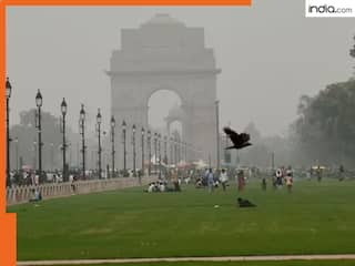 Delhi weather update: National capital wakes up to sunny morning with 'satisfactory' air quality