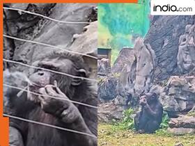india.com top news