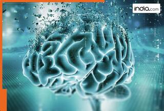 Do you have spoonful of plastic in your brain? Here is what we know