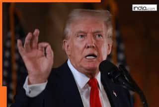 US to capture Greenland? Donald Trump issues CHLLING warning, says 'we've been dealing with...'