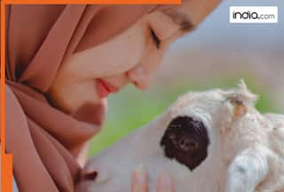 Muslim population to increase Massively in India in next 25 years, Hindu population to..., India to become largest Muslim nation with...