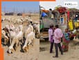 प्रयागराज: श्रद्धालुओं ने जहां लगाई संगम में डुबकी अब वहां क्या? तस्वीरें देख चौंक जाएंगे आप