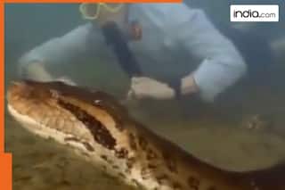 World's longest anaconda found in..., researchers' discovery stuns the world, length of anaconda is ...