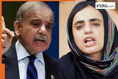 Balochistan asks India for help against Pakistani government's unjust policies, accuses Islamabad of…, says 'people of Balochistan …'