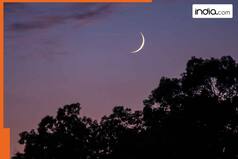 Eid 2025 crescent moon sighting: Saudi Arabia officially declares first day of Eid, celebrations in Saudi Arabia, Dubai, UAE, Abu Dhabi, Oman, Qatar on ...