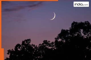 Eid 2025 crescent moon sighting: Saudi Arabia officially declares first day of Eid, celebrations in Saudi Arabia, Dubai, UAE, Abu Dhabi, Oman, Qatar on ...