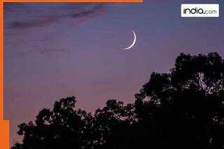 Eid 2025 crescent moon sighting: March 30 or March 31? When is Eid in Saudi Arabia, UAE, Abu Dhabi, Al Ain, Dubai, Sharjah, Ajman, Umm Al Quwain, Ras Al Khaimah, Fujairah, Khorfakkan Qatar, India, Pakistan - Big updates here
