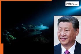 india.com top news