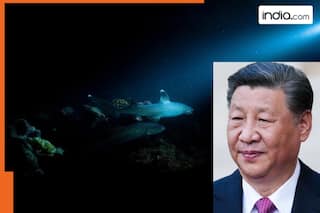 China building 'space station' deep in the sea; wants to access JACKPOT beneath sea, huge reserves of   , Beijing plans to...