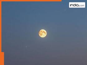 india.com top news