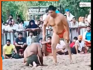 india.com top news
