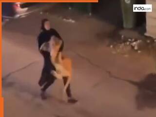 खतरनाक शेर को गोद में उठाकर भागी महिला! हैरान कर देगा ये वायरल वीडियो | देखें Video