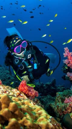 Top 8 Best Scuba Diving Spots Around the World