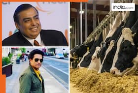 india.com top news