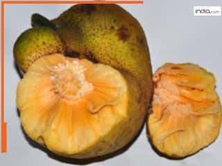 सेहत के खजाने से कम नहीं बड़हल, जाने क्यों कहते हैं इसे नैचुरल सुपरफूड