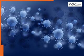 Rare human coronavirus detected in Kolkata: All about this coronavirus that spreads in humans and animals