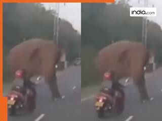 Hathi Ka Video: स्कूटी से सड़क पर जा रही थी महिला अचानक सामने से आ गए गजराज, फिर जो हुआ...
