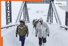 Uttarakhand avalanche: 14 more BRO workers rescued, 8 still remain trapped; 'PMO assured all possible help,' says CM Dhami