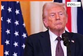 india.com top news