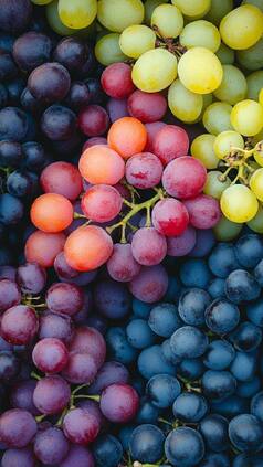 8 Surprising Health Benefits Of Grapes For Your Diet