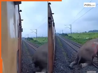 रेलवे ट्रैक पर टहल रहा था हाथी, अचानक आई तेज रफ्तार ट्रेन, सोशल मीडिया पर Viral हुआ दर्दनाक Video
