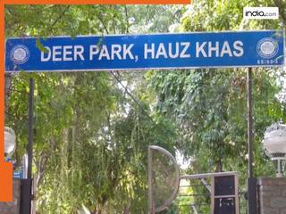 दिल्ली के डियर पार्क में पेड़ से लटकी मिली नाबालिग लड़का-लड़की की लाश, नहीं मिला कोई सुसाइड नोट- दहशत में लोग