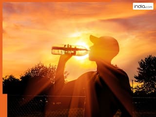 दिल्ली वालों की बढ़ने वाली है मुश्किलें, अप्रैल से जून के बीच पड़ेगी भीषण गर्मी- IMD ने किया अलर्ट