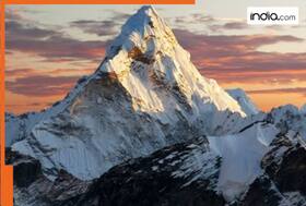 india.com top news